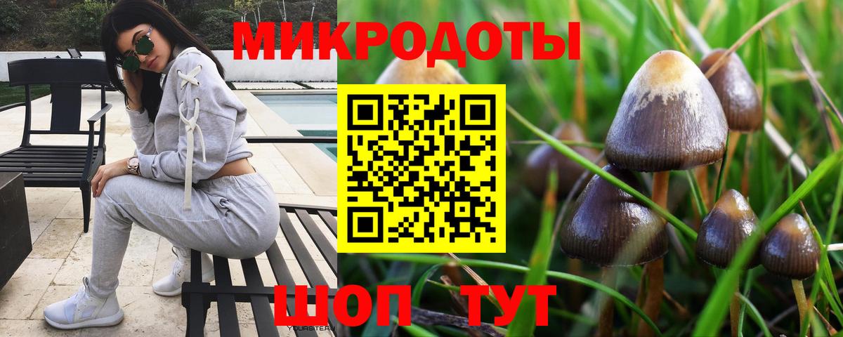 Псилоцибиновые грибы Cubensis  Вход с VPN  Губаха 